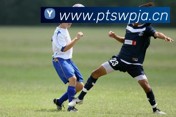 九游官网网页版登录入口平台生态图