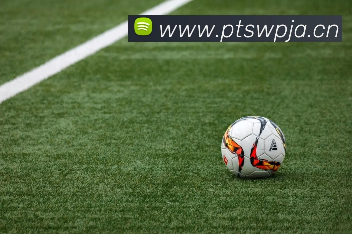 九游官网网页版登录入口全站App